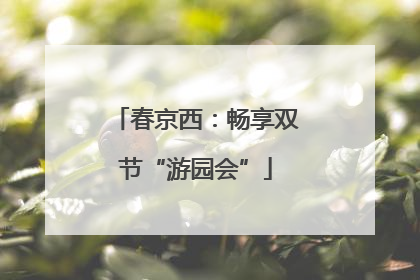 春京西：畅享双节“游园会”