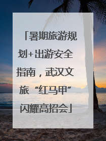 暑期旅游规划+出游安全指南，武汉文旅“红马甲”闪耀高招会
