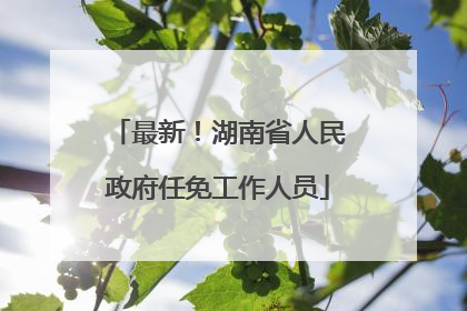 最新！湖南省人民政府任免工作人员