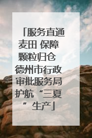 服务直通麦田 保障颗粒归仓 德州市行政审批服务局护航“三夏”生产