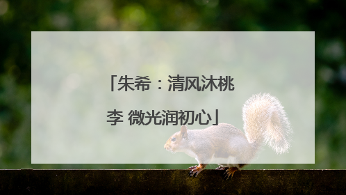 朱希：清风沐桃李 微光润初心