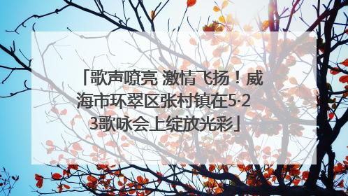 歌声嘹亮 激情飞扬！威海市环翠区张村镇在5·23歌咏会上绽放光彩