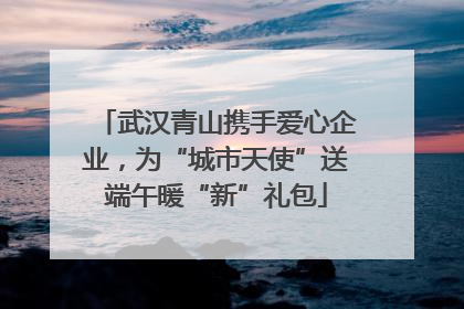 武汉青山携手爱心企业，为“城市天使”送端午暖“新”礼包