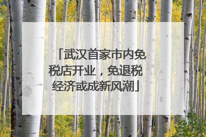 武汉首家市内免税店开业，免退税经济或成新风潮
