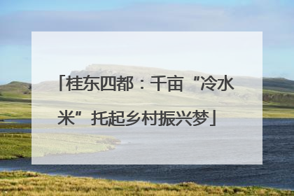 桂东四都：千亩“冷水米”托起乡村振兴梦