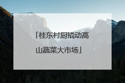 桂东村厨撬动高山蔬菜大市场