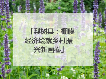 梨树县：棚膜经济绘就乡村振兴新画卷