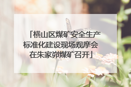 横山区煤矿安全生产标准化建设现场观摩会在朱家峁煤矿召开