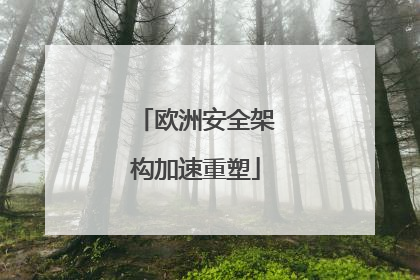 欧洲安全架构加速重塑