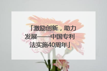 激励创新，助力发展——中国专利法实施40周年