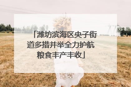 潍坊滨海区央子街道多措并举全力护航粮食丰产丰收