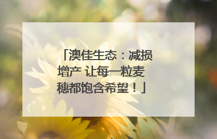 澳佳生态：减损增产 让每一粒麦穗都饱含希望！