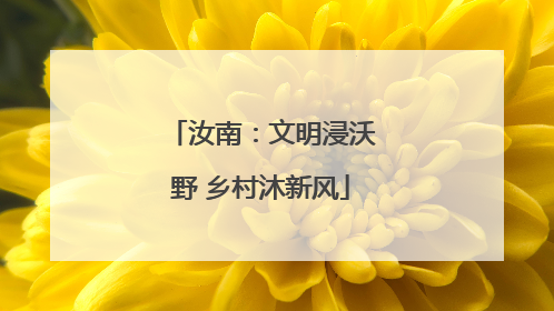 汝南：文明浸沃野 乡村沐新风