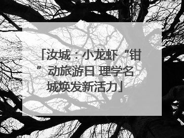 汝城：小龙虾“钳”动旅游日 理学名城焕发新活力