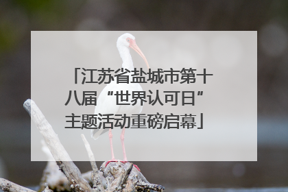 江苏省盐城市第十八届“世界认可日”主题活动重磅启幕