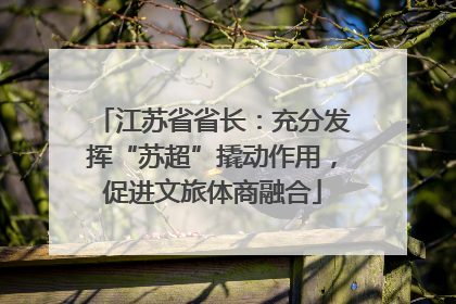 江苏省省长：充分发挥“苏超”撬动作用，促进文旅体商融合
