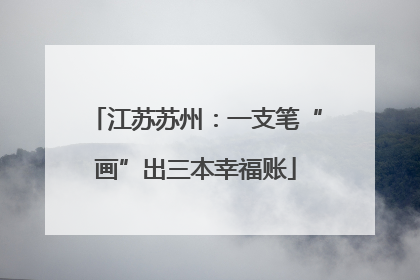江苏苏州：一支笔“画”出三本幸福账