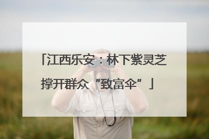 江西乐安：林下紫灵芝撑开群众“致富伞”