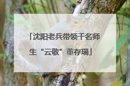 沈阳老兵带领千名师生“云敬”董存瑞