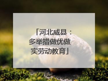 河北威县：多举措做优做实劳动教育