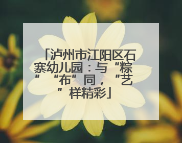 泸州市江阳区石寨幼儿园：与“粽”“布”同，“艺”样精彩