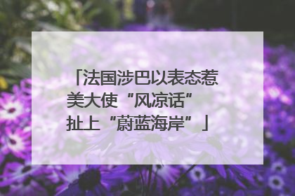 法国涉巴以表态惹美大使“风凉话” 扯上“蔚蓝海岸”
