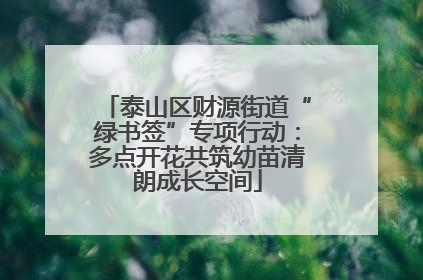 泰山区财源街道“绿书签”专项行动：多点开花共筑幼苗清朗成长空间