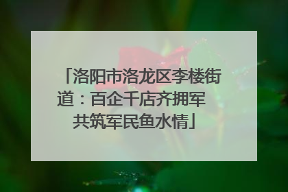 洛阳市洛龙区李楼街道：百企千店齐拥军 共筑军民鱼水情