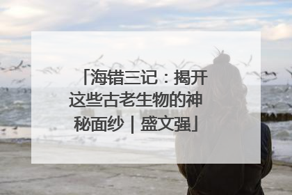 海错三记：揭开这些古老生物的神秘面纱｜盛文强