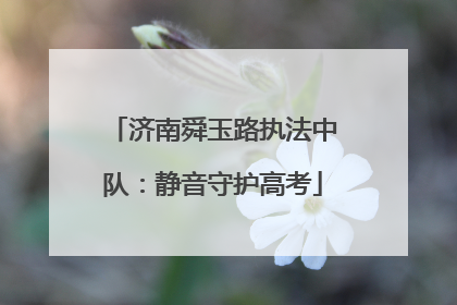 济南舜玉路执法中队：静音守护高考