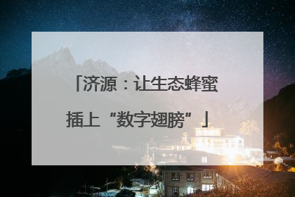 济源：让生态蜂蜜插上“数字翅膀”