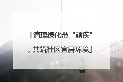 清理绿化带“顽疾”，共筑社区宜居环境