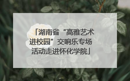 湖南省“高雅艺术进校园”交响乐专场活动走进怀化学院