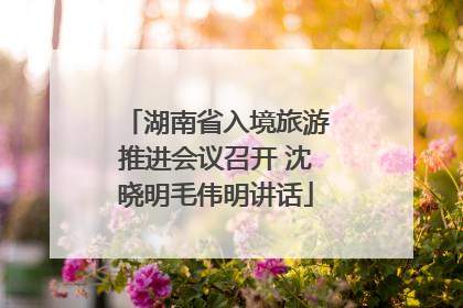 湖南省入境旅游推进会议召开 沈晓明毛伟明讲话