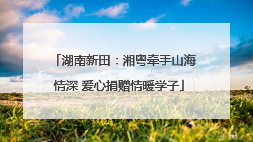 湖南新田：湘粤牵手山海情深 爱心捐赠情暖学子
