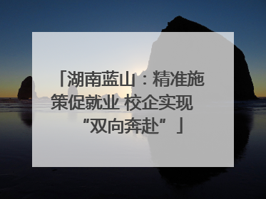 湖南蓝山：精准施策促就业 校企实现“双向奔赴”