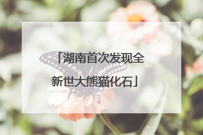 湖南首次发现全新世大熊猫化石
