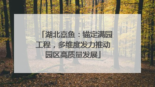 湖北嘉鱼：锚定满园工程，多维度发力推动园区高质量发展
