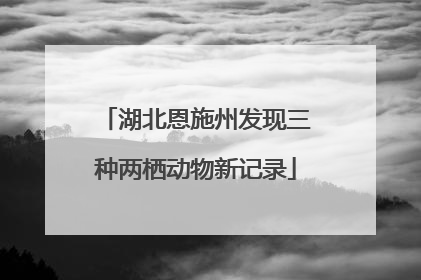 湖北恩施州发现三种两栖动物新记录
