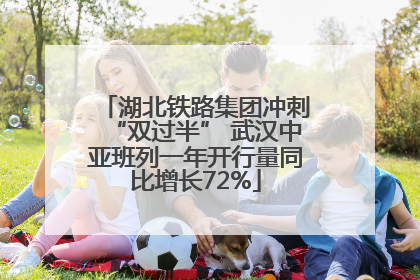 湖北铁路集团冲刺“双过半” 武汉中亚班列一年开行量同比增长72%