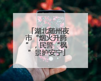湖北随州夜市“烟火升腾”，民警“枫”景护安宁