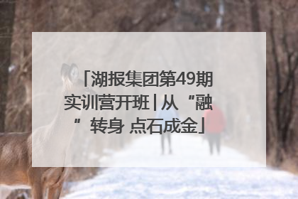 湖报集团第49期实训营开班│从“融”转身 点石成金