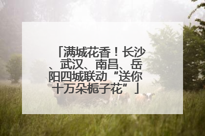 满城花香！长沙、武汉、南昌、岳阳四城联动“送你十万朵栀子花”