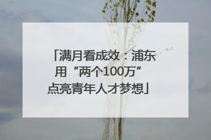 满月看成效：浦东用“两个100万”点亮青年人才梦想