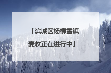 滨城区杨柳雪镇麦收正在进行中