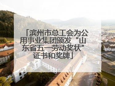 滨州市总工会为公用事业集团颁发“山东省五一劳动奖状”证书和奖牌