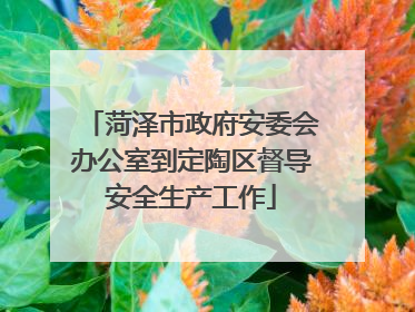菏泽市政府安委会办公室到定陶区督导安全生产工作