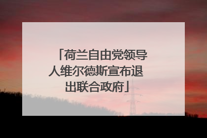荷兰自由党领导人维尔德斯宣布退出联合政府