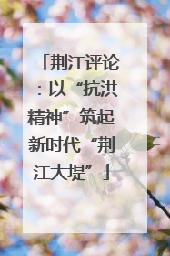 荆江评论：以“抗洪精神”筑起新时代“荆江大堤”