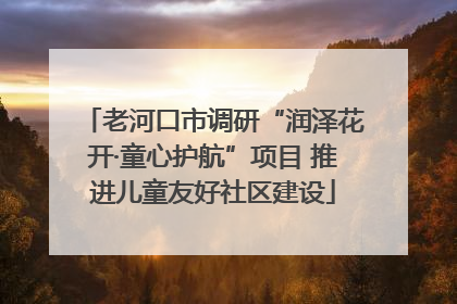 老河口市调研“润泽花开·童心护航”项目 推进儿童友好社区建设